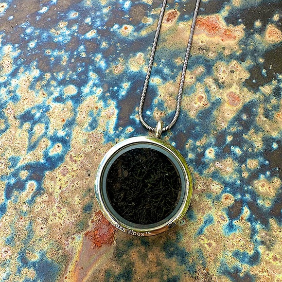 Eternal Moss Locket Pendant Necklace - Picture 14 of 14